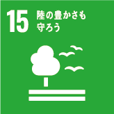 SDGs